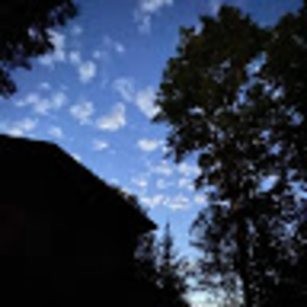 Meet your Posher, Madeline